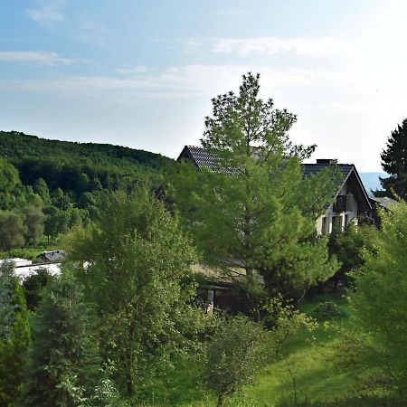 Lovely Holiday Home In The Thuringian Forest With Roof Terrace And Great View Bad Liebenstein Ngoại thất bức ảnh