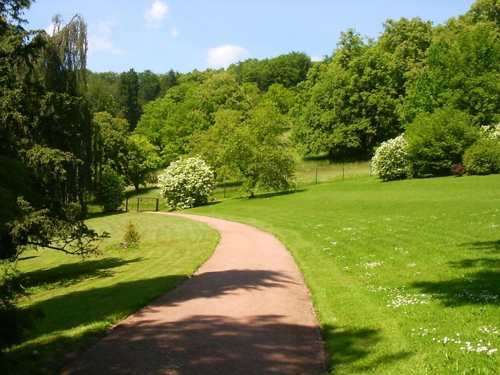 Lovely Holiday Home In The Thuringian Forest With Roof Terrace And Great View Bad Liebenstein Ngoại thất bức ảnh